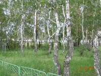 Продам дом в Акколе 100км от Астаны  - Изображение #2, Объявление #278945