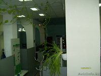 офис в Триумфе Астаны - Изображение #1, Объявление #293588