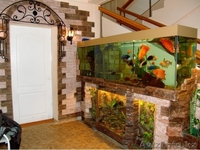 Изготовление аквариумов на заказ - Изображение #10, Объявление #338086