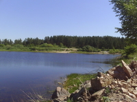 земельный участок в лесу для отдыха - Изображение #1, Объявление #335331