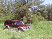 земельный участок в лесу для отдыха - Изображение #6, Объявление #335331