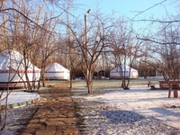   Конно-спортивный клуб "Кулагер" - Изображение #2, Объявление #363102