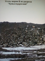 Кумыскудукский уголь,Верхне-Сокурского угольного месторождения - Изображение #1, Объявление #330394