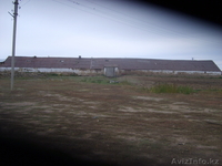 сельское хозяйство                                                               - Изображение #2, Объявление #400676