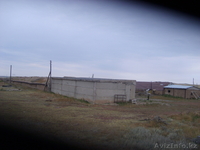 сельское хозяйство                                                               - Изображение #1, Объявление #400676