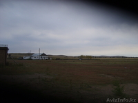 сельское хозяйство                                                               - Изображение #3, Объявление #400676