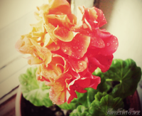 Фотограф на выезд - Изображение #4, Объявление #439494