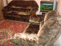 мягкая мебель 3 2 1  - Изображение #1, Объявление #456779