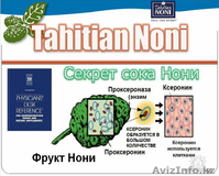 Биоактивный  ,оригинальный таитянский НОНИ - Изображение #4, Объявление #499430