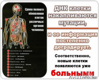 Биоактивный  ,оригинальный таитянский НОНИ - Изображение #3, Объявление #499430