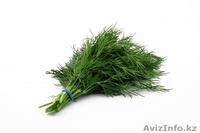 hossein hajihosseininasab momoyorgroup@mail.ru +992917650655 - Изображение #3, Объявление #583249