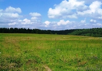 Оценка земельного участка - Изображение #4, Объявление #591075