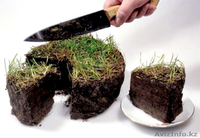 Оценка земельного участка - Изображение #5, Объявление #591075