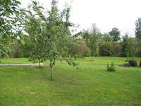 Оценка земельного участка - Изображение #6, Объявление #591075