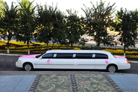 Транспортная компания ElitLimo  - Изображение #6, Объявление #602445