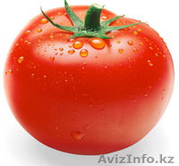 hossein hajihosseininasab momoyorgroup@mail.ru +992917650655 - Изображение #2, Объявление #583249