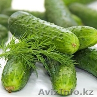 hossein hajihosseininasab momoyorgroup@mail.ru +992917650655 - Изображение #1, Объявление #583249