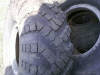 Продам спец шины ,18.00-24 - Изображение #1, Объявление #660714