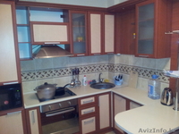 Сдам 3-х комнатную  срочно  - Изображение #5, Объявление #698371