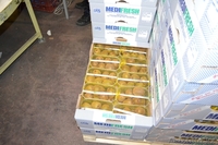 Fruit Life Company - Изображение #7, Объявление #688891