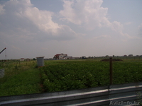 Продам дачный участок в зоне отдыха п.Коянды - Изображение #3, Объявление #703057