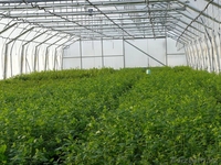 Строительство бассейнов,саун,моньаж оборудования,пусконаладка очистительной сист - Изображение #7, Объявление #707931