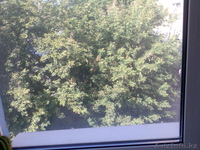 В центре правобережья уютная, теплая 3-х комнатная квартира  - Изображение #2, Объявление #748412