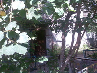 В центре правобережья уютная, теплая 3-х комнатная квартира  - Изображение #1, Объявление #748412