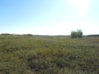 продам  землю 50 га. Гос Акт.Целевое назначение К/Х под сад, огород.  - Изображение #2, Объявление #739506