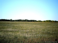 продам  землю 50 га. Гос Акт.Целевое назначение К/Х под сад, огород.  - Изображение #3, Объявление #739506