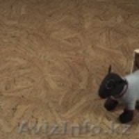 пробковое покрытие - Изображение #3, Объявление #779535