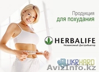  Независимый дистрибьютор  компании Гербалайф!Алое, мультивитамины! - Изображение #2, Объявление #795409