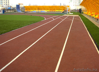 Тартановое покрытие  - Изображение #2, Объявление #786811