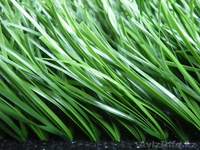 Искусственный газон - Изображение #2, Объявление #786786