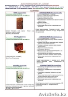 Представительство GANO eWorldwide в Казахстане - Изображение #3, Объявление #814838