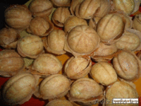 Вареная сгущенка(термостабильная) - Изображение #2, Объявление #819166