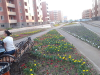 Теплая квартира, с удобной планировкой.  - Изображение #1, Объявление #841410