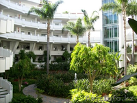 3х-комнатный пентхауз с видом на море!!! - Изображение #6, Объявление #834929