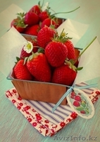 Овощи и фрукты в любом количестве и в хорошем качестве - Изображение #1, Объявление #870626