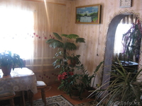 Продаю Дом и магазин - Изображение #3, Объявление #860849