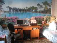 Продаю Дом и магазин - Изображение #8, Объявление #860849