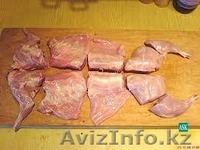Продам мясо домашнего кролика - Изображение #2, Объявление #750340