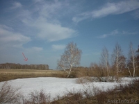 2 га на малой тимофеевке (лес) - Изображение #2, Объявление #887337