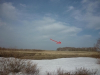 2 га на малой тимофеевке (лес) - Изображение #1, Объявление #887337