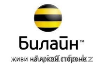 Beeline Интернет дома!!! Подключение высокоскоростного интернета !!! - Изображение #6, Объявление #875635