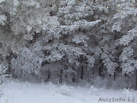 Продам дом в курортной зоне с.Макинка в 180 км от г.Астана - Изображение #2, Объявление #896399