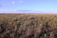 Земельный участок 1.5 га  - Изображение #2, Объявление #893719