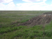 Срочная распродажа зем. участка п. Талапкер - Изображение #1, Объявление #901288