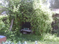 Котедж в Макинске - Изображение #2, Объявление #920092