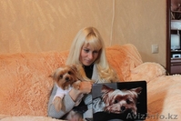 Виниловые наклейки,чехлы для ваших гаджетов - Изображение #3, Объявление #912189